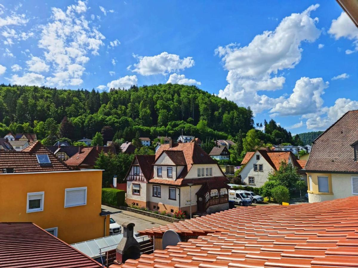 Pension Transilvania Immendingen Kültér fotó